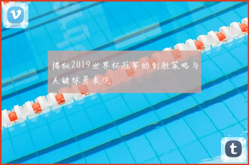 揭秘2019世界杯冠军的制胜策略与关键球员表现