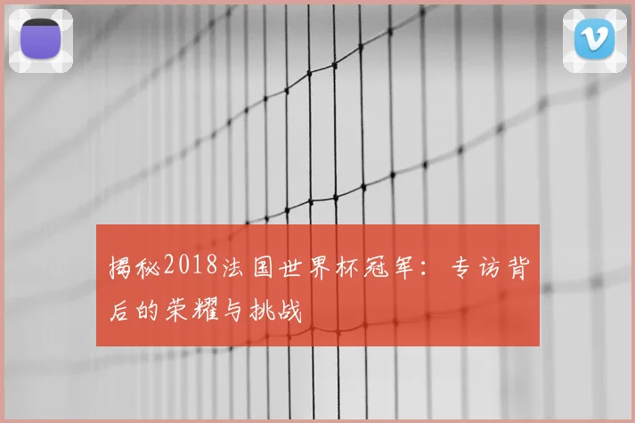 揭秘2018法国世界杯冠军：专访背后的荣耀与挑战