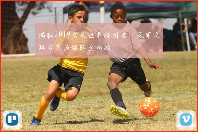 揭秘2019女足世界杯排名：冠军之路与黑马球队全回顾
