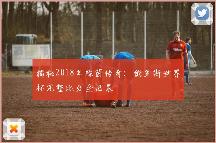 揭秘2018年绿茵传奇：俄罗斯世界杯完整比分全记录