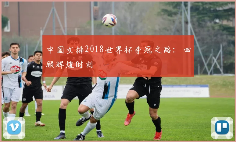 中国女排2018世界杯夺冠之路：回顾辉煌时刻