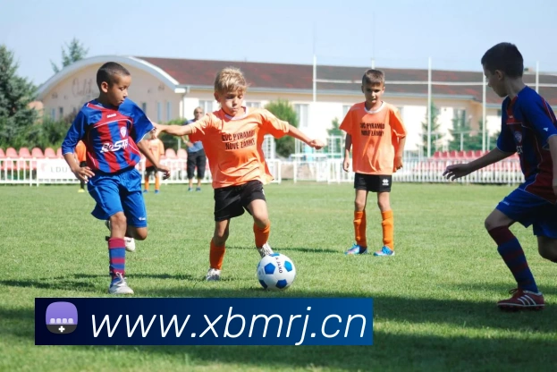 App Interface Preview